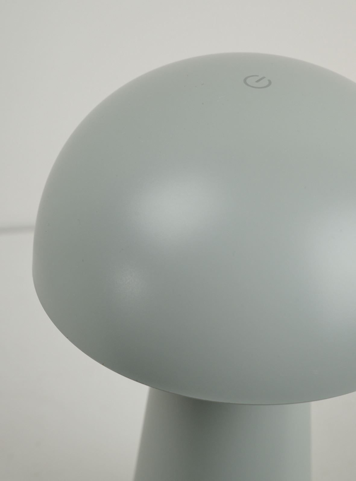 Patareitoitel valgusti merihein - 5