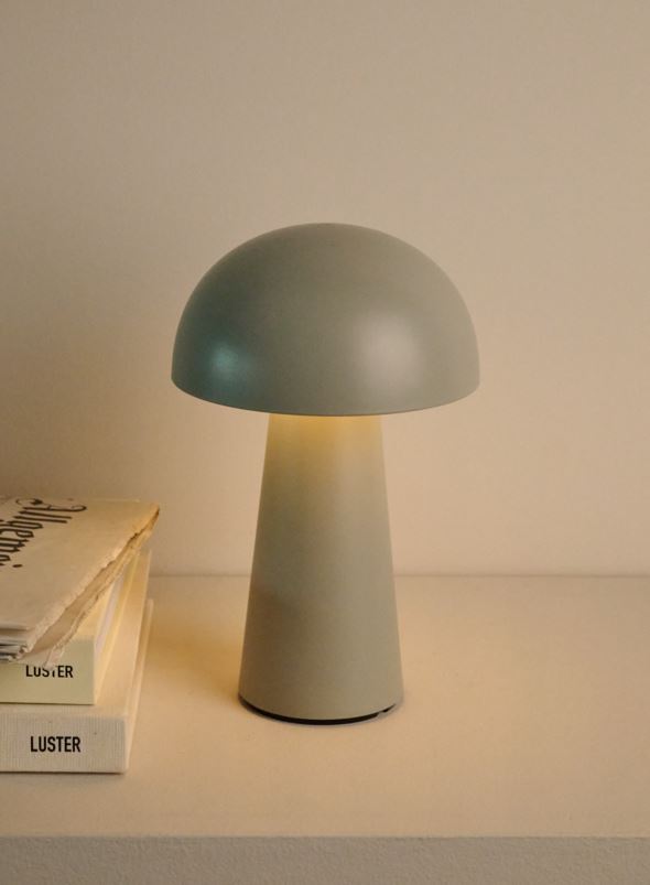 Patareitoitel valgusti merihein - 6