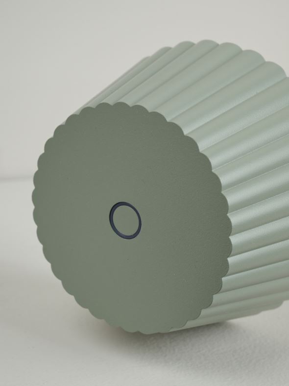 Patareitoitel valgusti merihein - 5