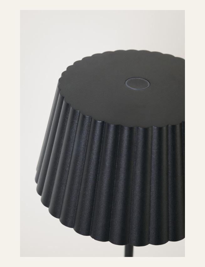 Patareitoitel valgusti must - 4