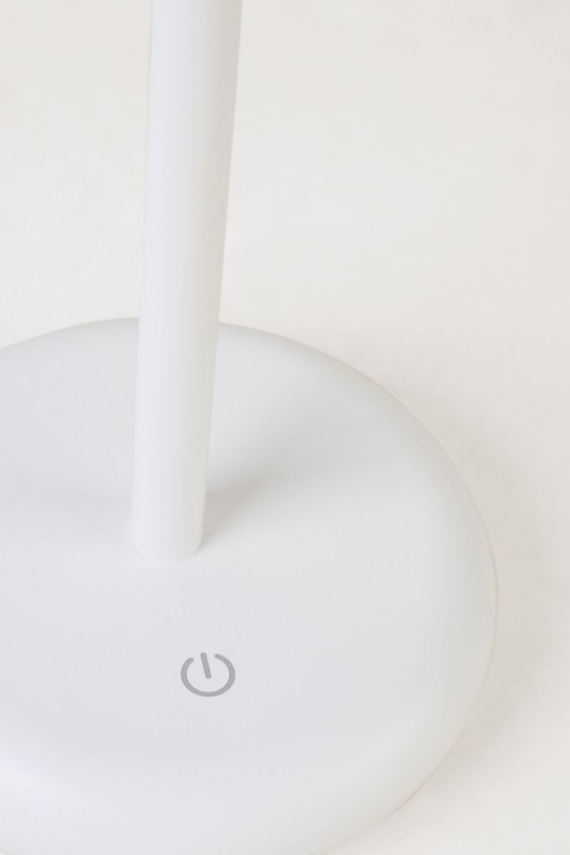 Patareitoitel valgusti valge - 3