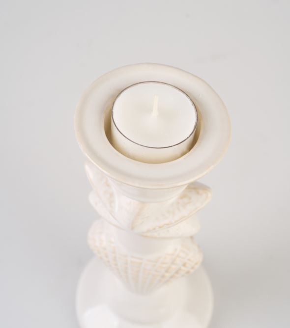 Küünlajalg valge - 2