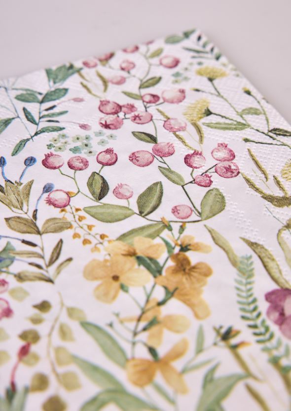 Pabersalvrätikud mitmevärviline - 2