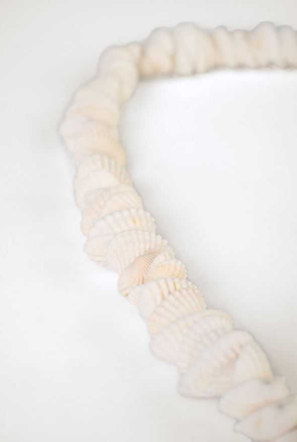 Seinakaunistus valge - 4