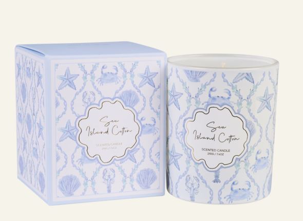 Lõhnaküünal mitmevärviline/sinine - 3