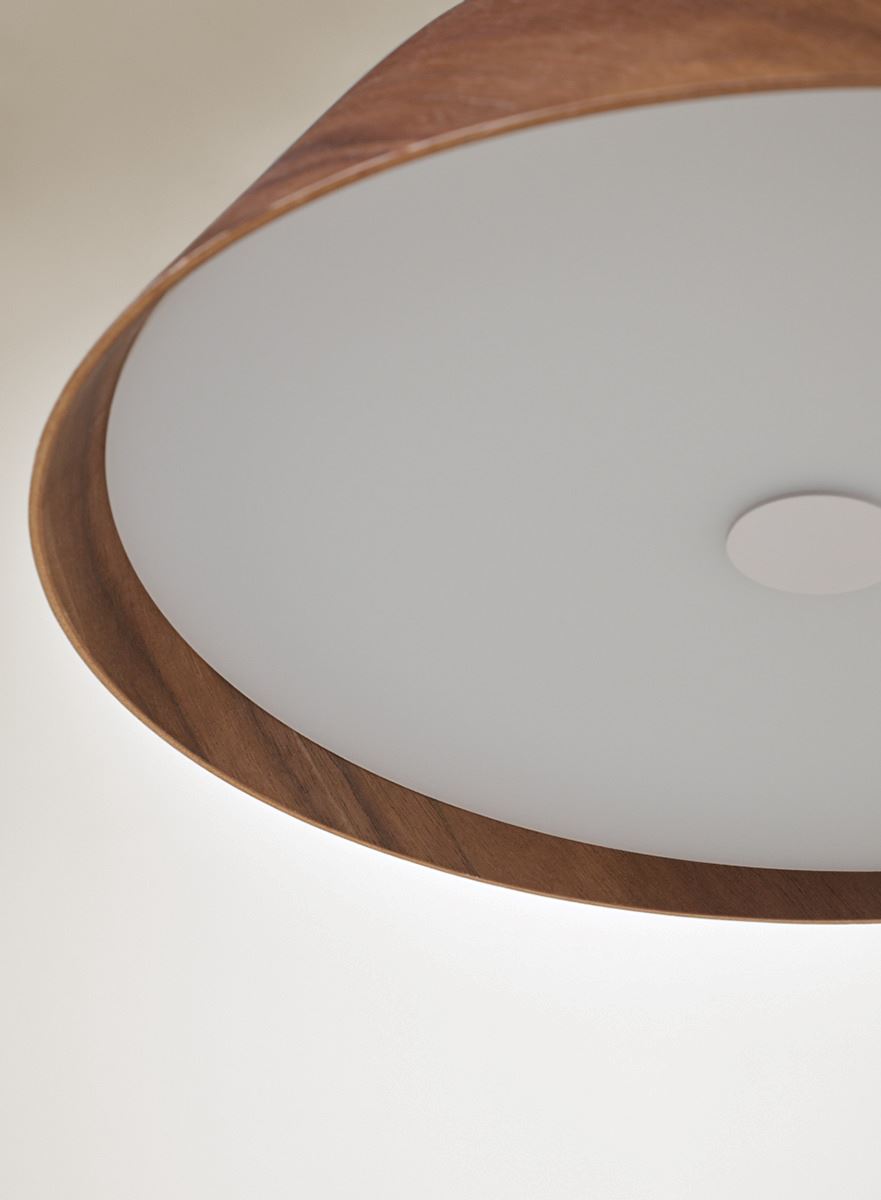 Laevalgusti pruun - 3