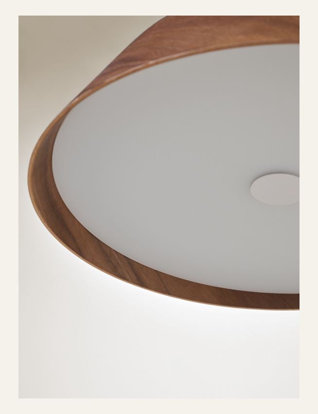 Laevalgusti pruun - 3