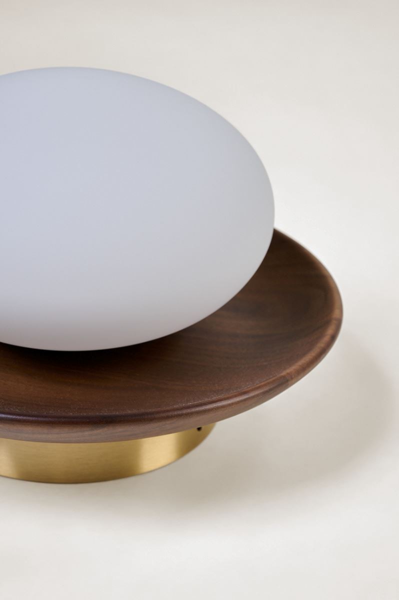 Seinavalgusti pruun - 4