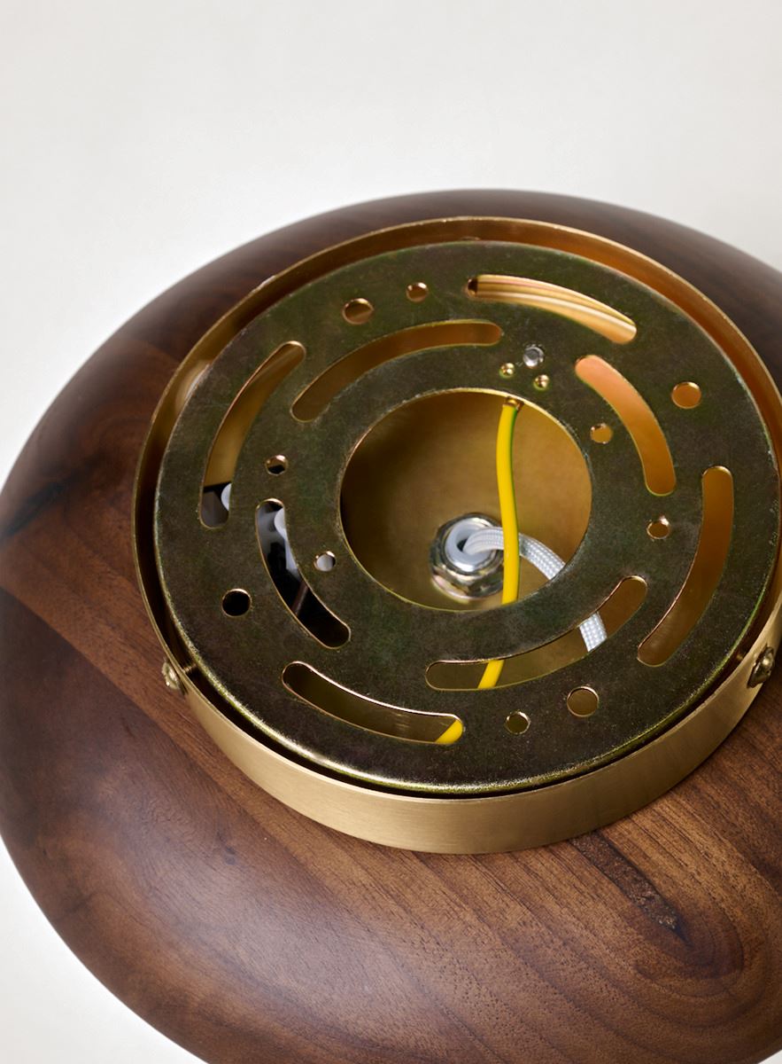 Seinavalgusti pruun - 5