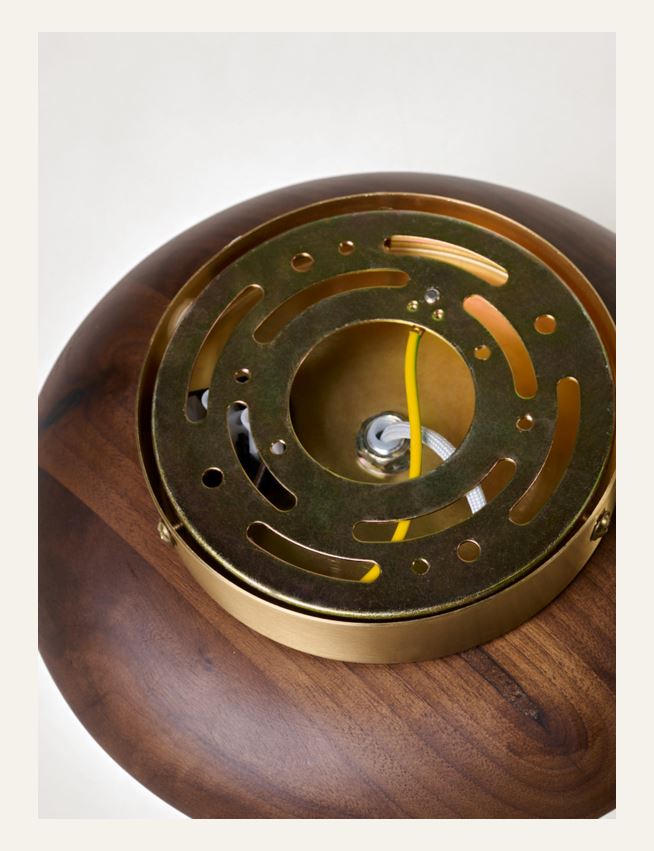 Seinavalgusti pruun - 5