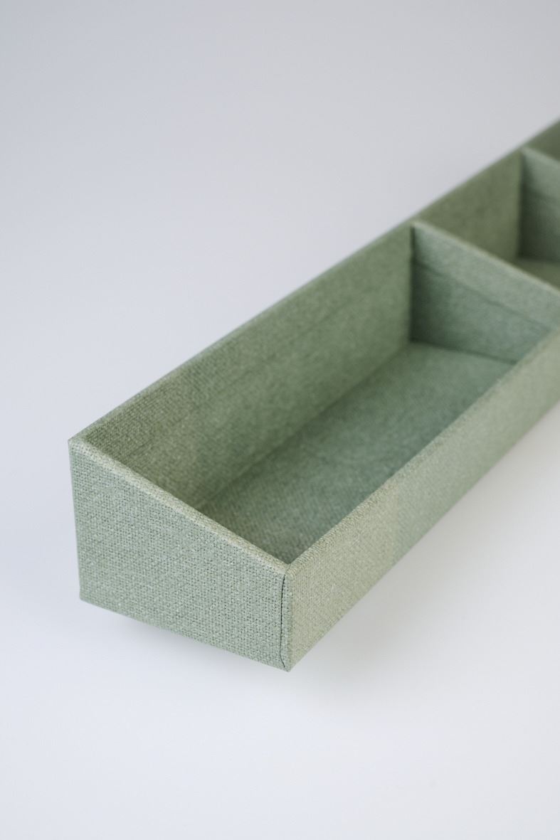 Organisaator heleroheline - 4