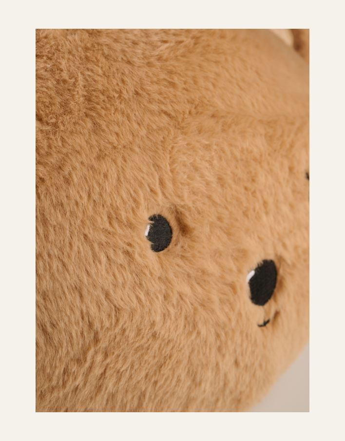 Dekoratiivpadi pruun - 2