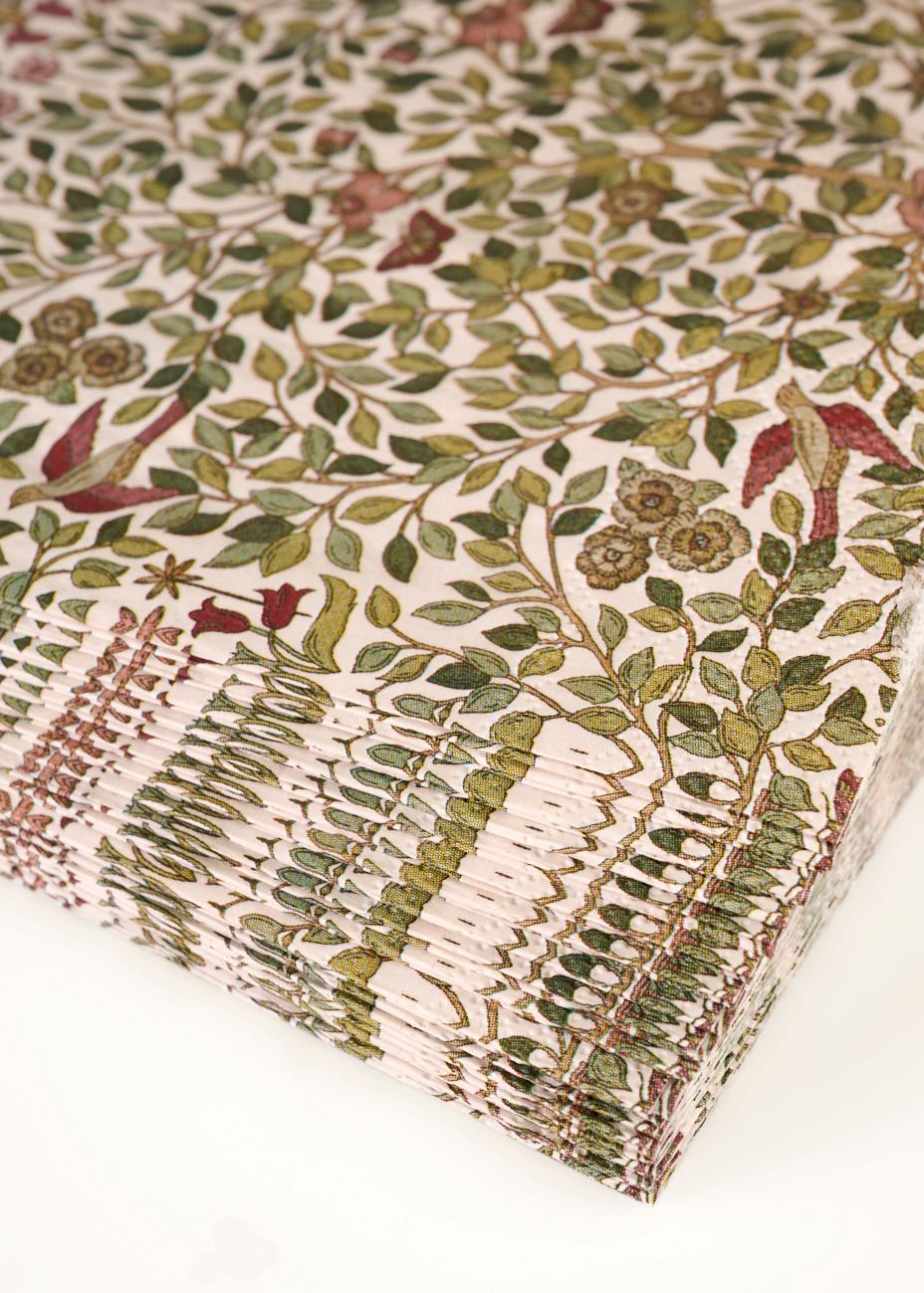 Õhtusöögi salvrätikud mitmevärviline - 2