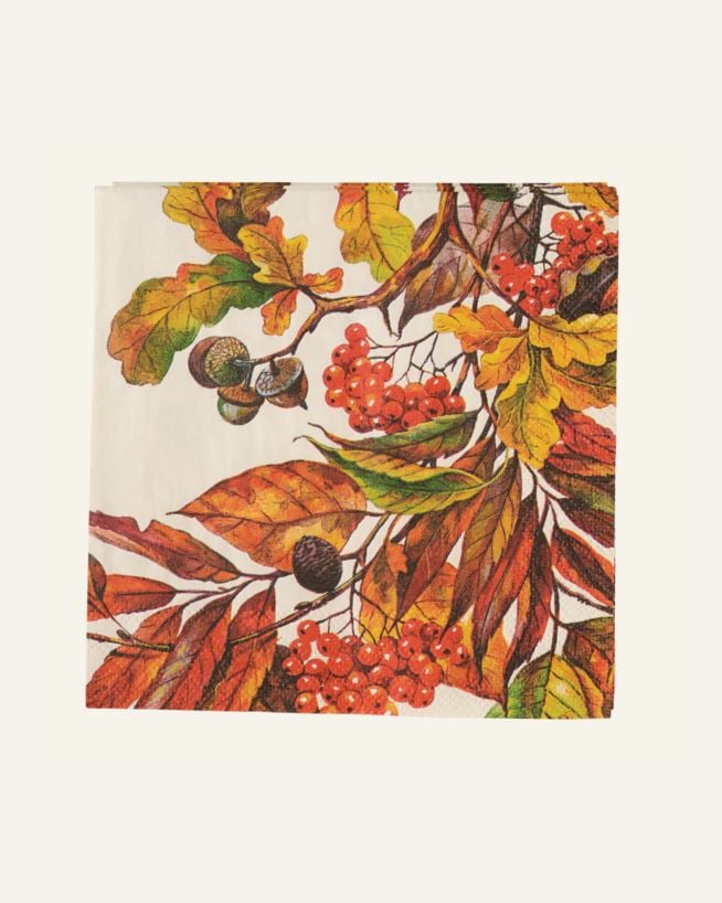 Salvrätikud mitmevärviline/oranz - 25x25 cm mitmevärviline/oranz - 1