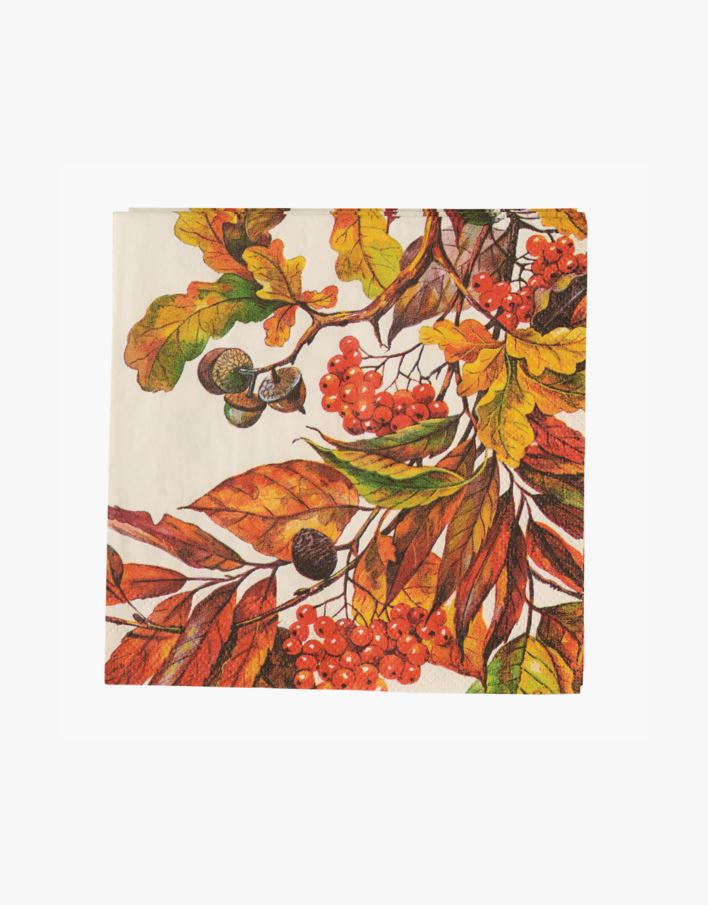 Salvrätikud mitmevärviline/oranz - 25x25 cm mitmevärviline/oranz - 1