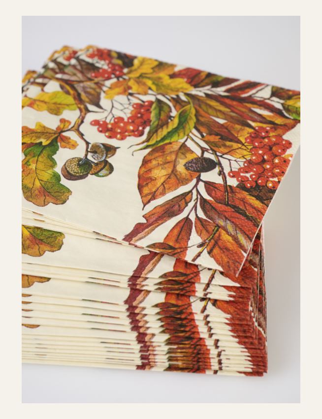 Salvrätikud mitmevärviline/oranz - 2