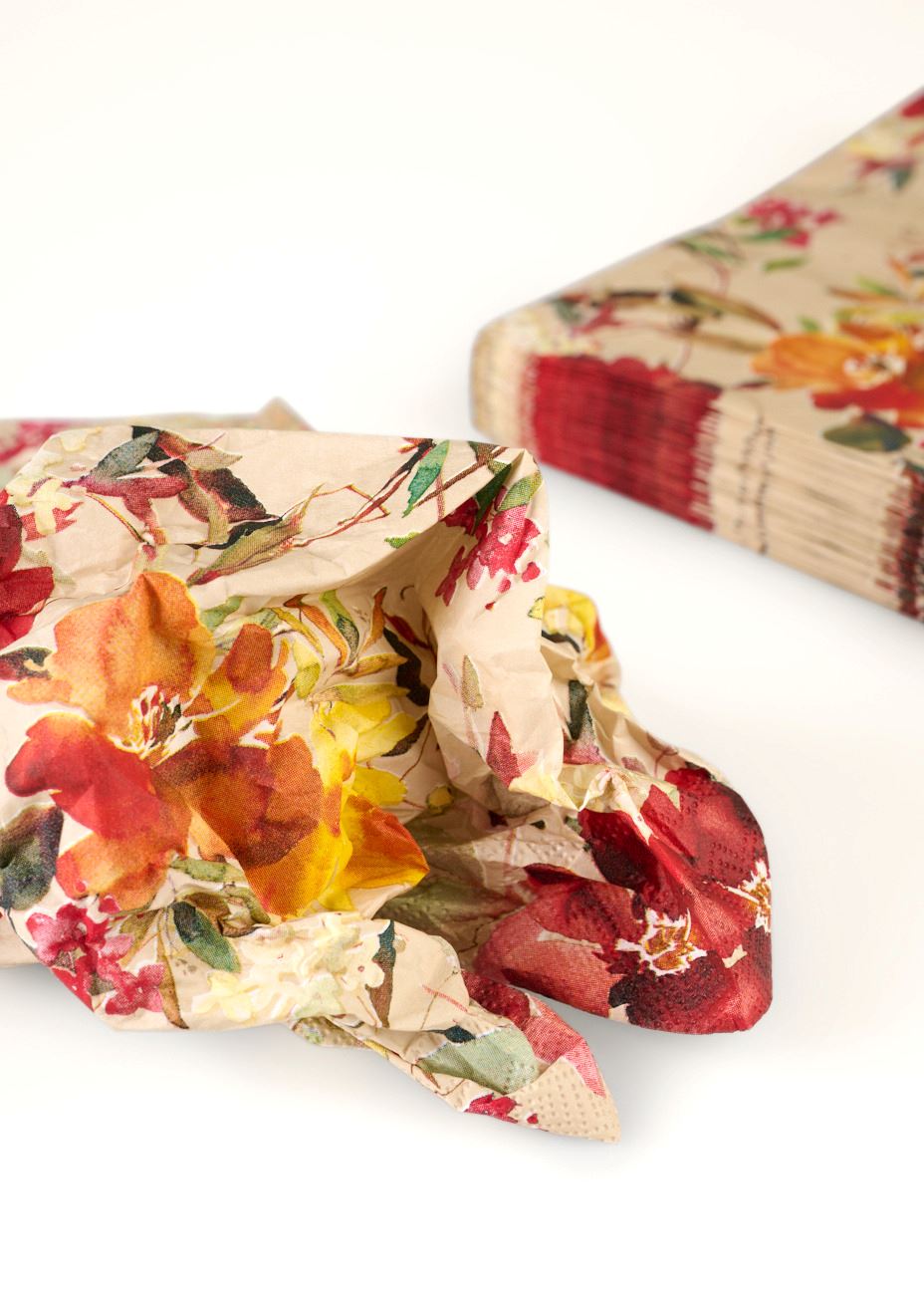 Õhtusöögi salvrätikud mitmevärviline - 3