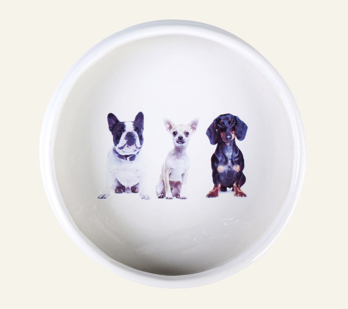 Koera kauss valge - 3