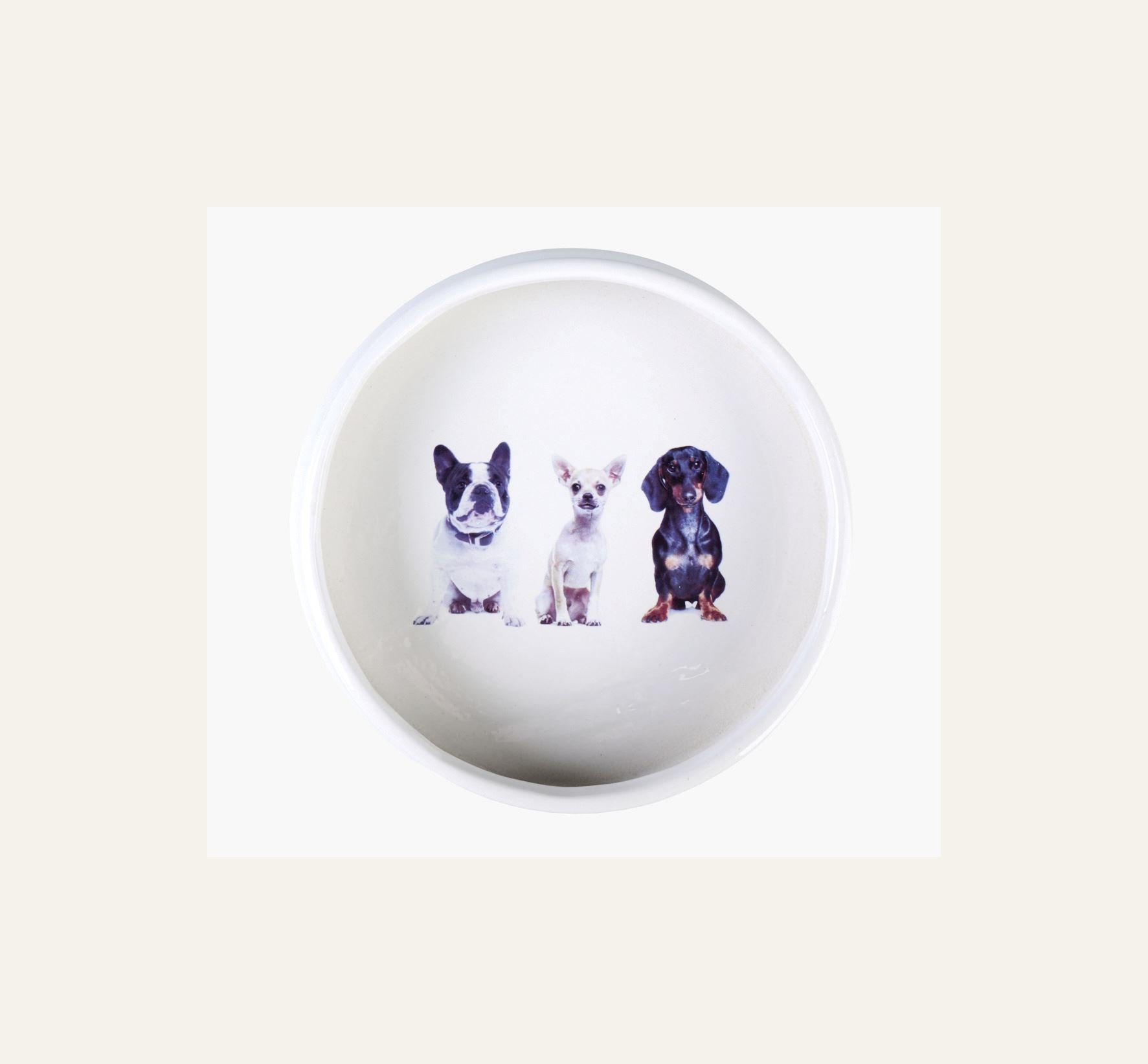 Koera kauss valge - 3