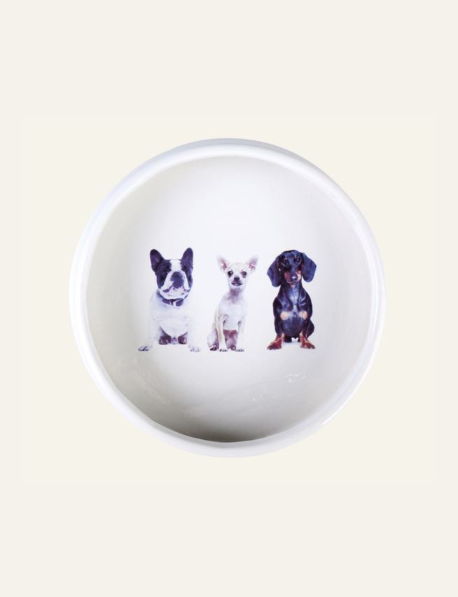 Koera kauss valge - 3