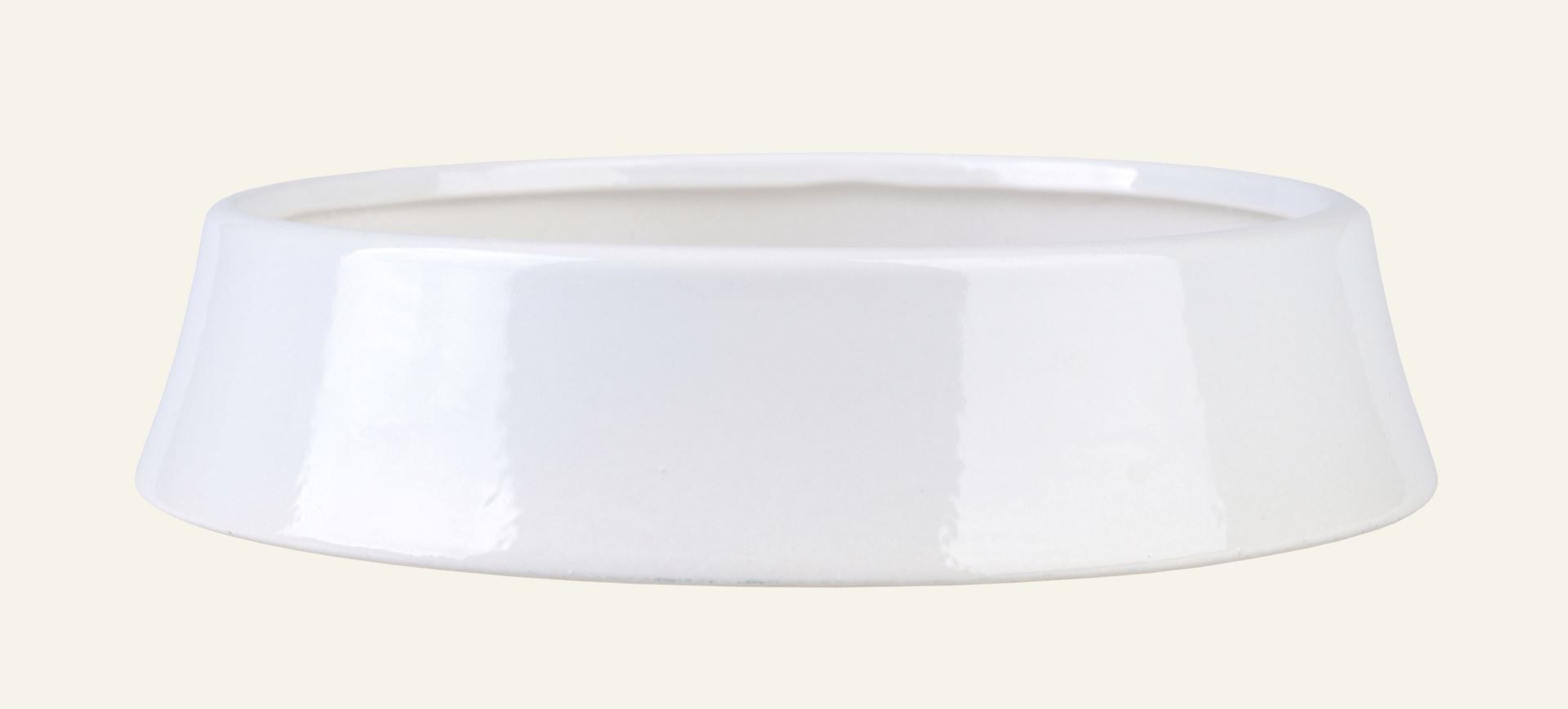 Koera kauss valge - 2