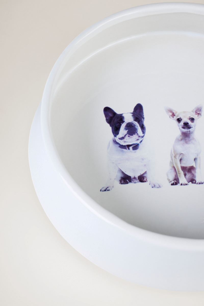 Koera kauss valge - 4