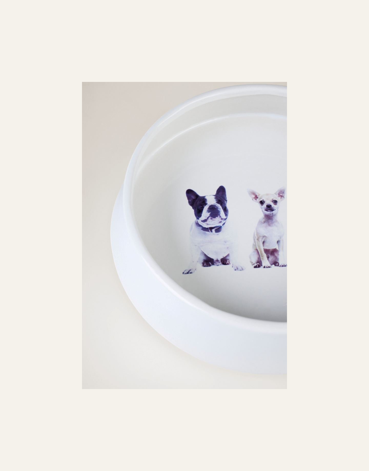 Koera kauss valge - 4