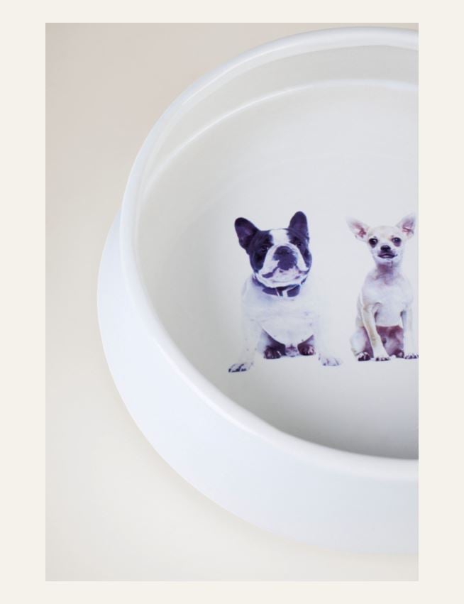 Koera kauss valge - 4