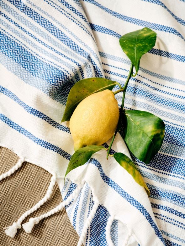 Vannirätik sinine - 3