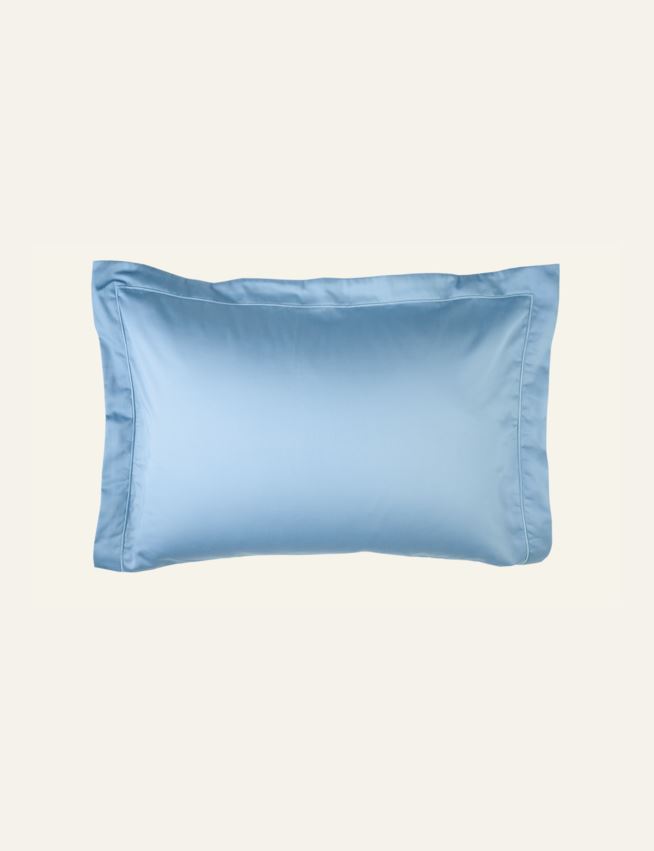 Padjapüür taevasinine - 2