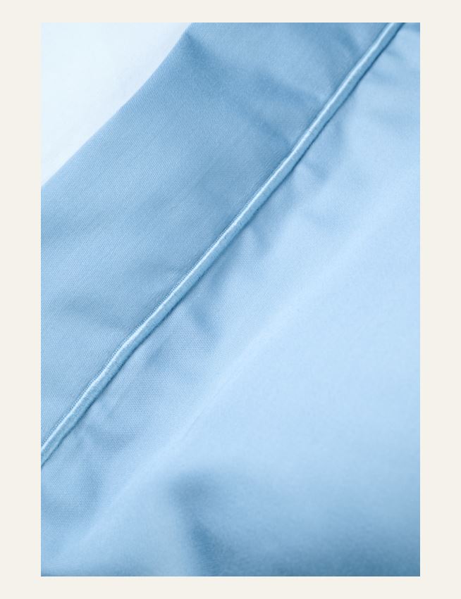 Padjapüür taevasinine - 3