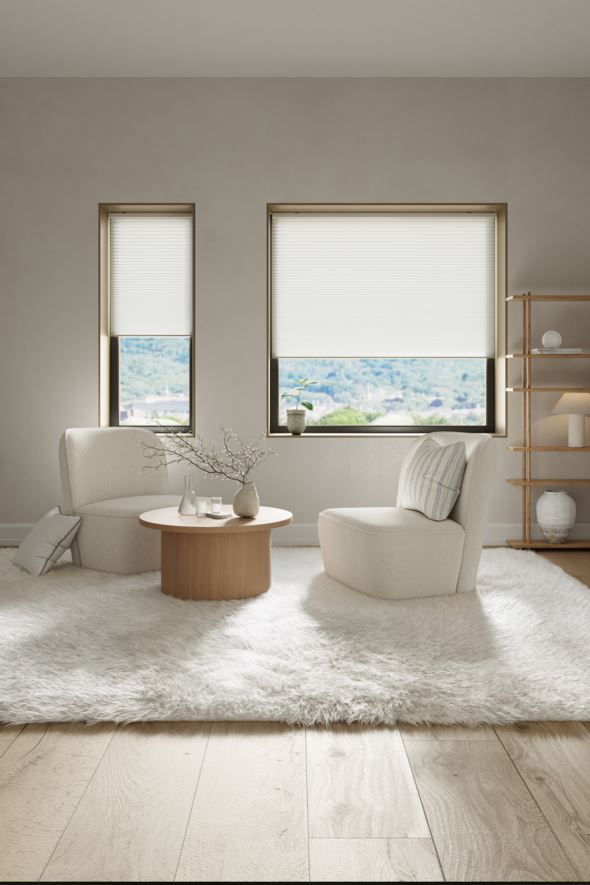 Valgust filtreeriv topelt- voldikkardin valge - 2