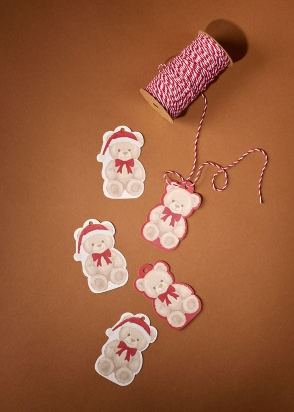 Kingisilt mitmevärviline/pruun - 4