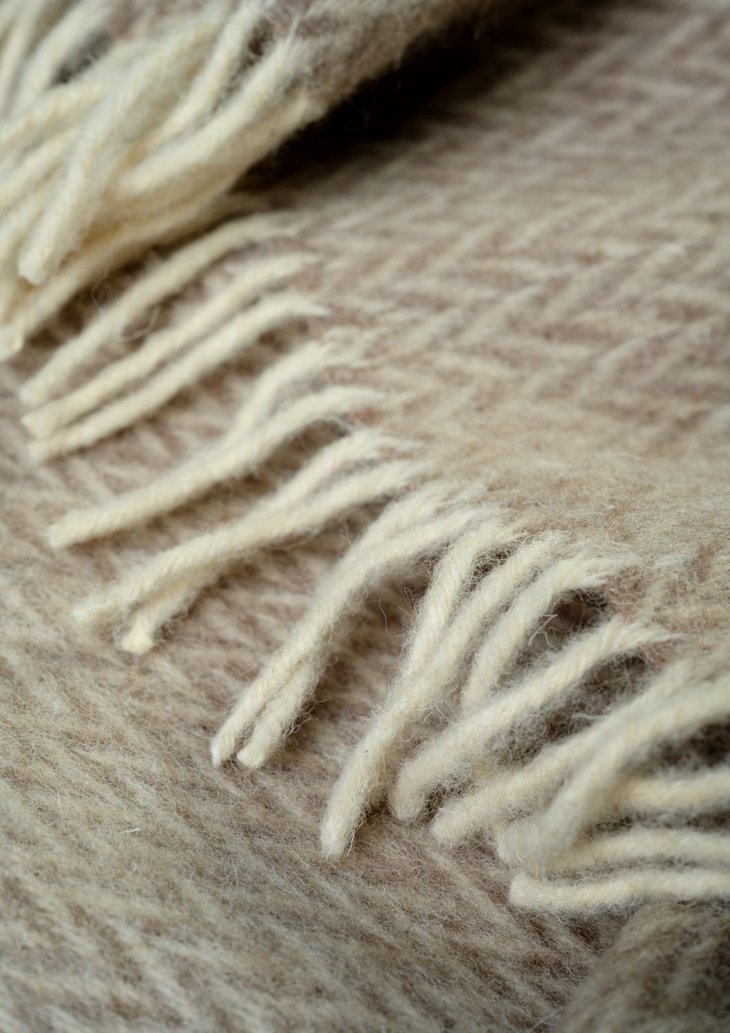 Villapleed hallikaspruun - 5