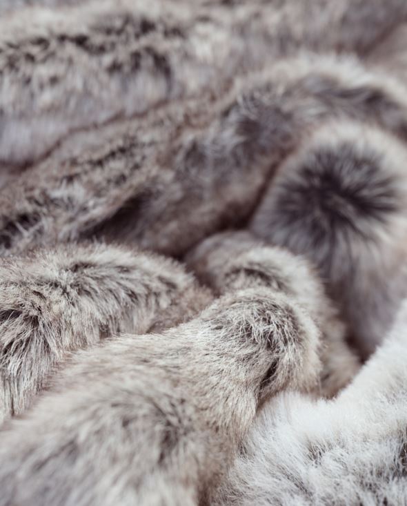 Karusnahast pleed hall - 4