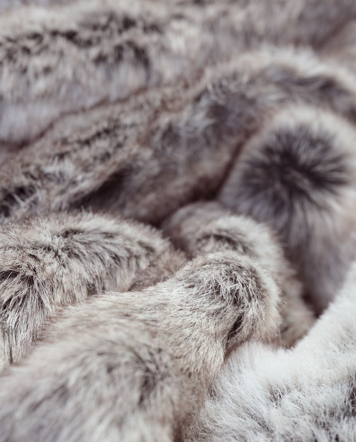 Karusnahast pleed hall - 4