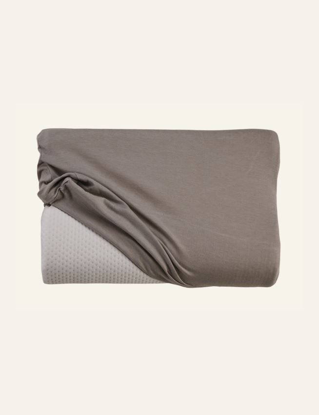 Veniv padjapüür hall - 2