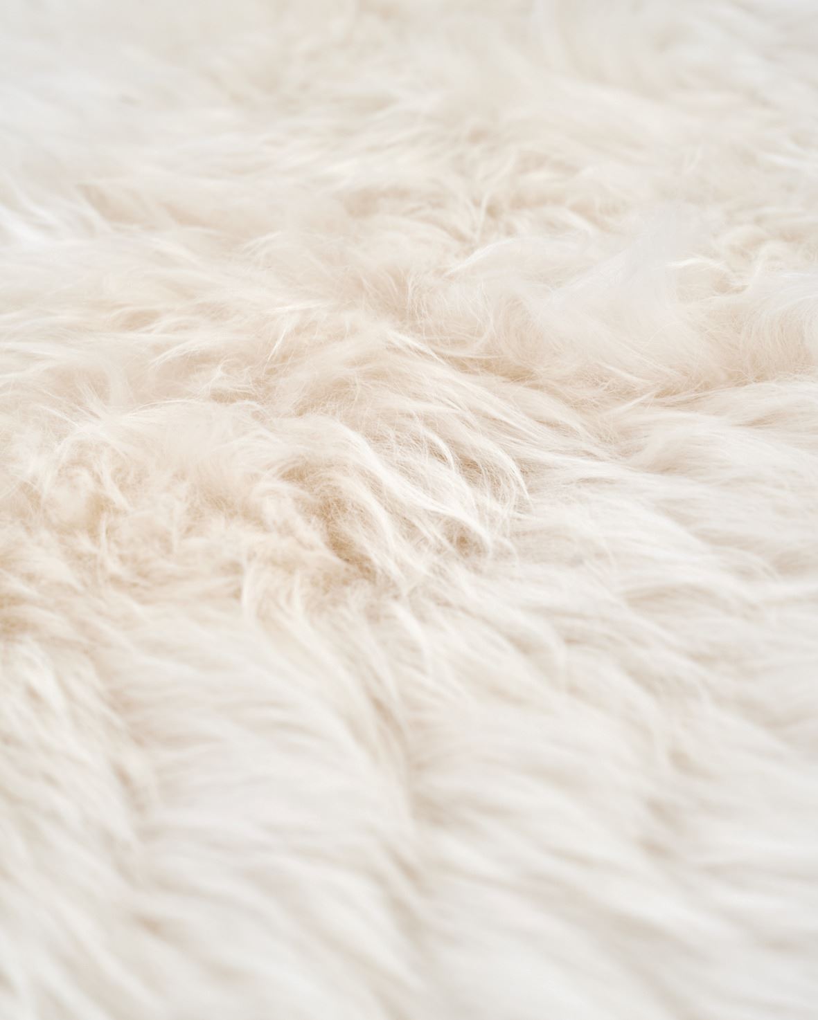 Lambanahk naturaalne toon - 4