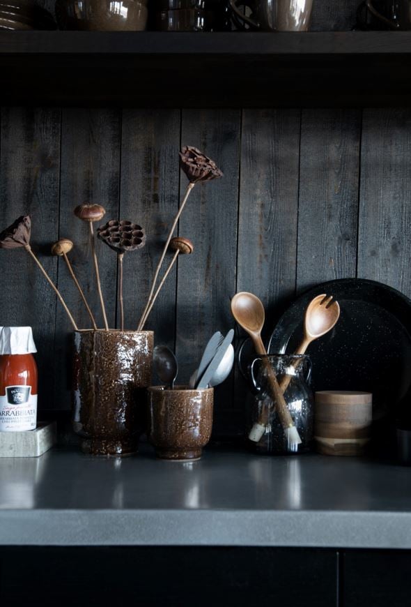 Salatitangid pruun - 4