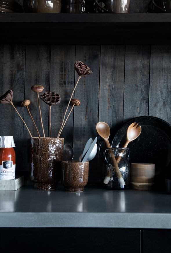 Salatitangid pruun - 4