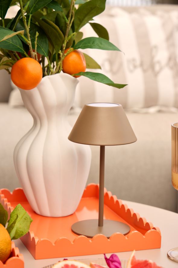 Patareitoitel valgusti pruun - 6