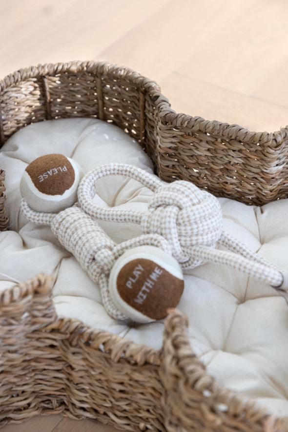 Koeramänguasi mitmevärviline/valge - 2