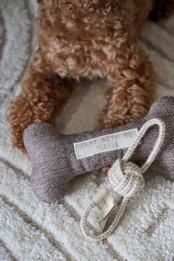 Koeramänguasi hall - 3