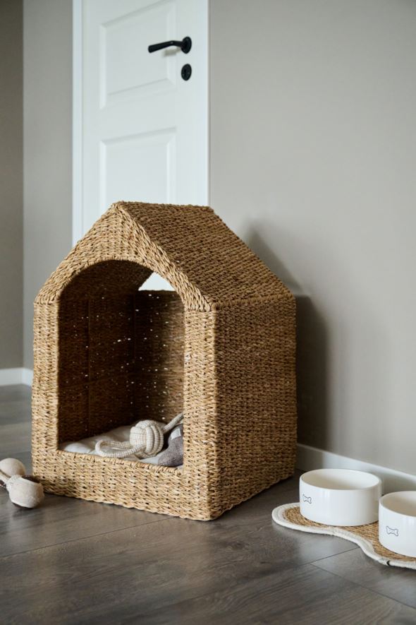 Lemmiklooma pesa naturaalne toon - 6