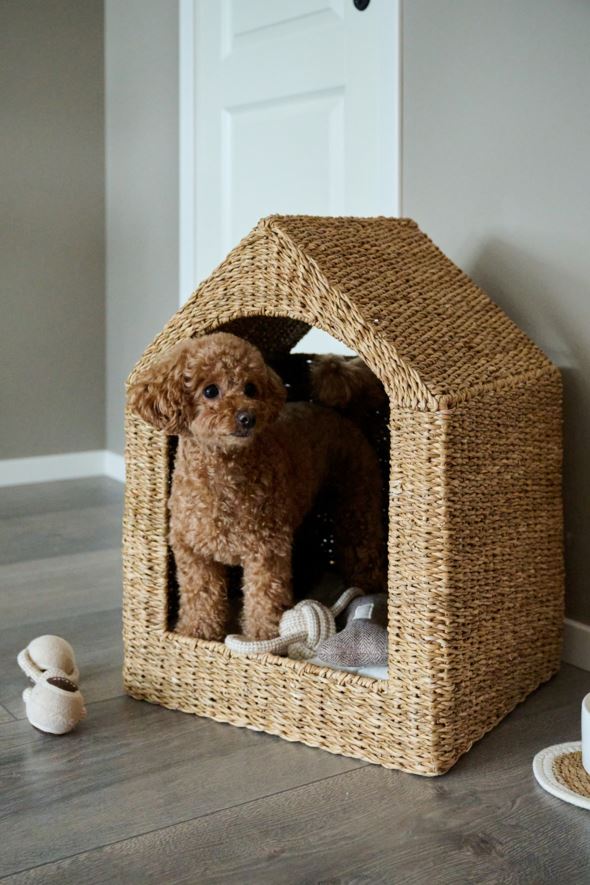 Lemmiklooma pesa naturaalne toon - 5