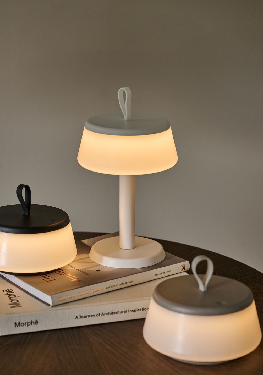 Patareitoitel valgusti hallikaspruun - 5