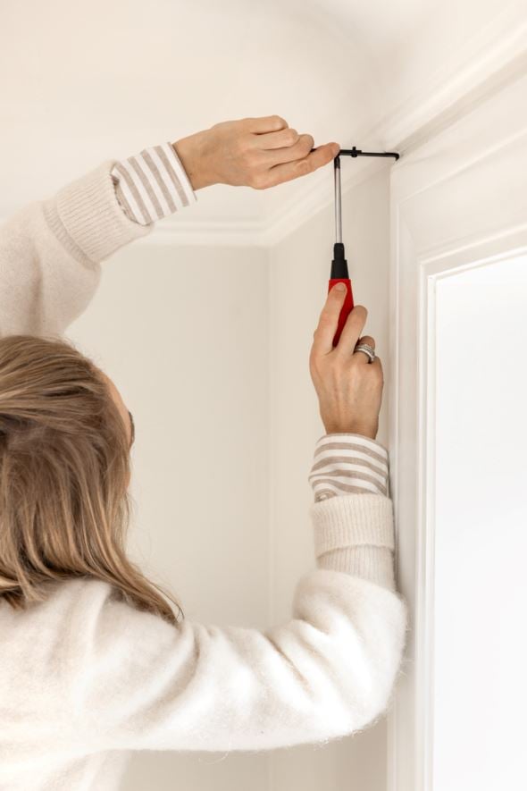 Kardinapuu must - 16