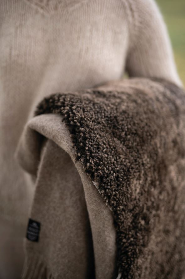 Lambanahk tumepruun - 5