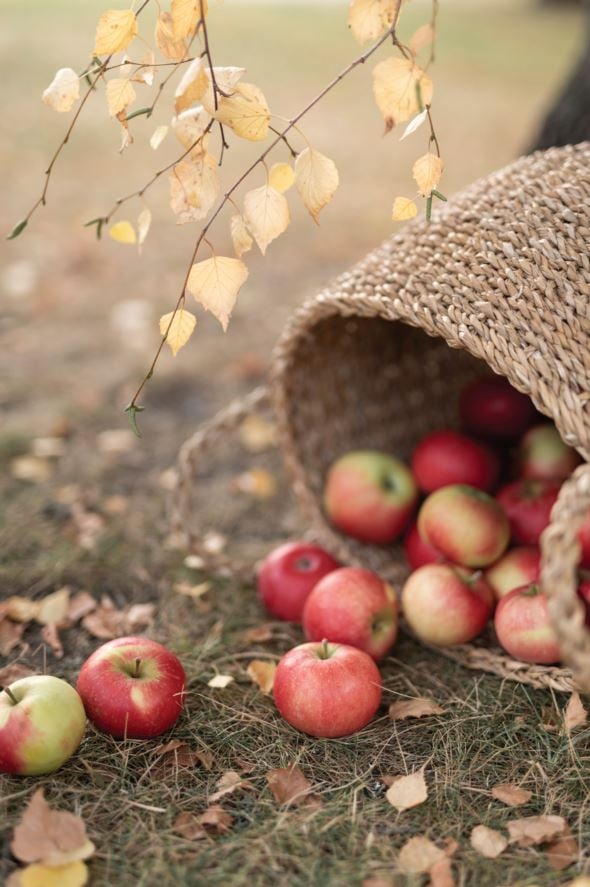 Korv naturaalne toon - 5