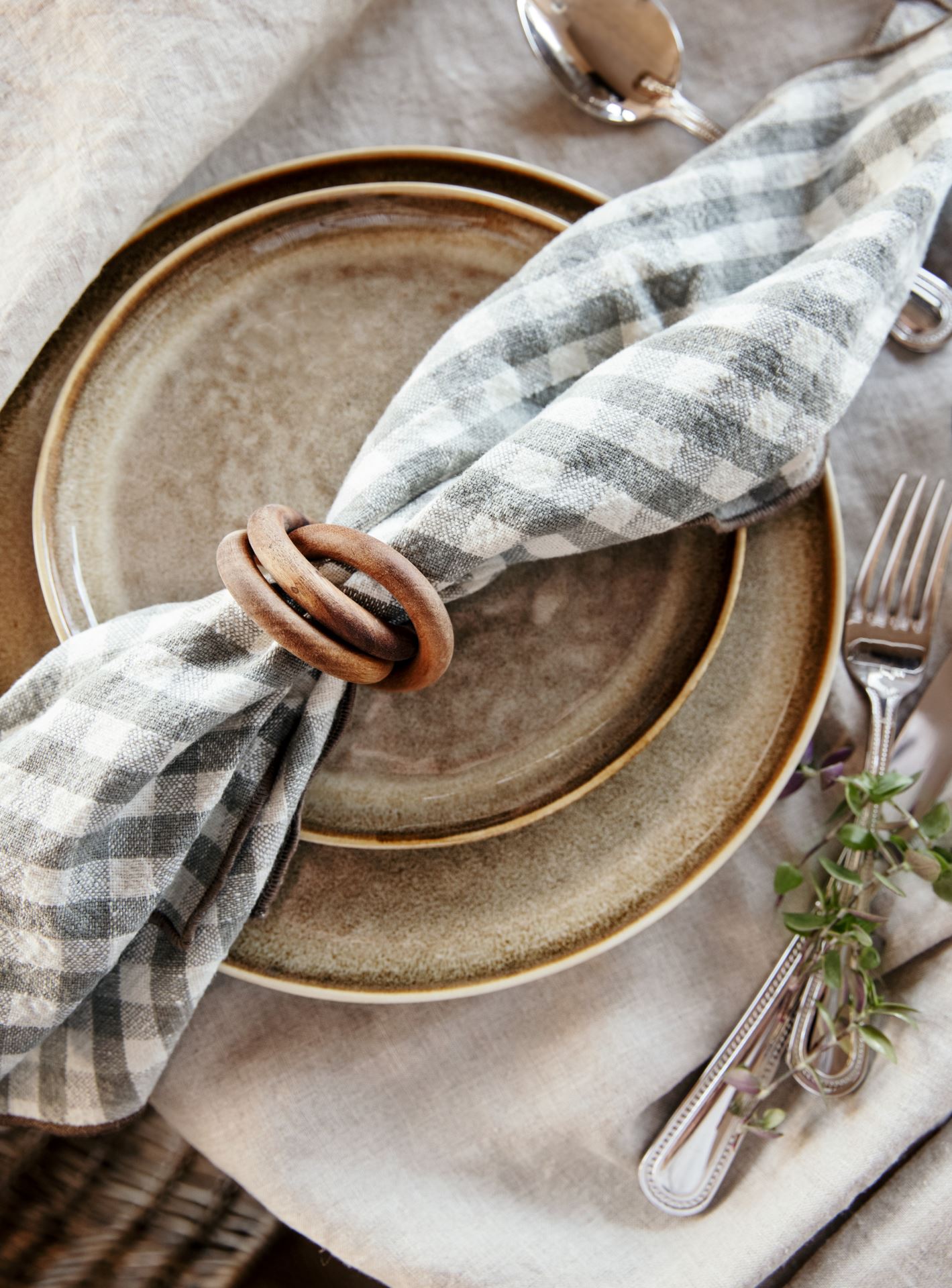 Leivataldrik pruun - 2